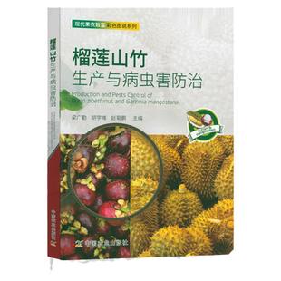 正版榴莲山竹生产与病虫害防治 榴莲山竹优质高产高效栽培种植技术果树疾病防治用药技术热带水果种植大全果园管理书籍