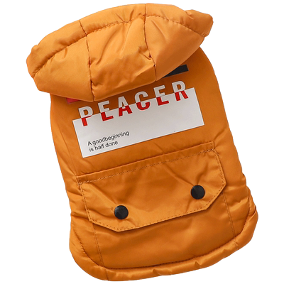 小体灰泰迪衣服秋冬装