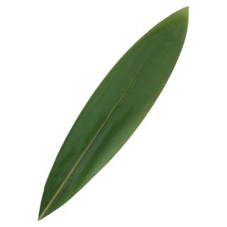 粽子叶新鲜粽叶摆盘装饰小号寿司竹叶棕叶粽叶包粽子专用大号叶子