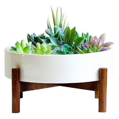 陶瓷白色简约大口径多肉花盆