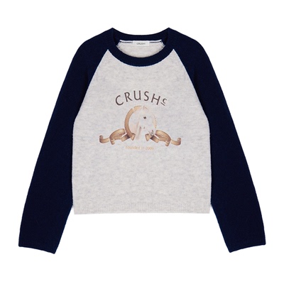 CRUSH趣味小马头印花毛衣