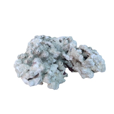 珊瑚石三湖慈鲷造景水族鱼缸造景