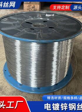 弹簧线弹簧钢丝电镀锌钢丝直径0.2-1.0冷拔65MN高弹性丝冷拔丝