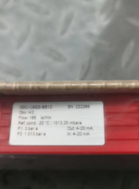 议价VOGTLIN气质量流量计 GSC-C9SS-BB12 165lS/min 4-20mA  2222