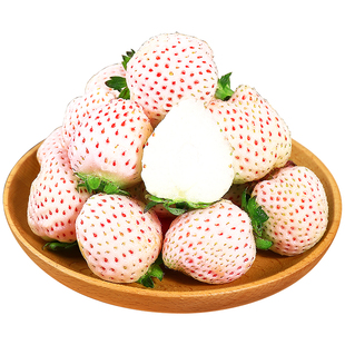 【顺丰礼盒】淡雪白草莓新鲜水果应当季正宗白雪公主奶油草莓整箱