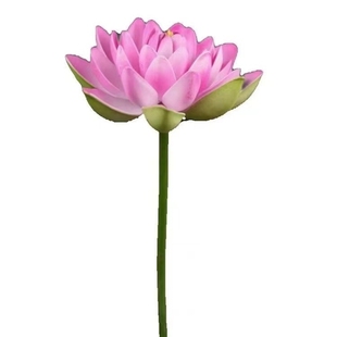 仿真荷叶荷花古典舞采莲舞蹈入莲间手持荷叶成人儿童舞蹈装饰道具