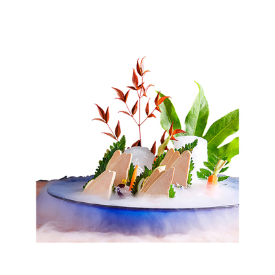 王鹅娘a级原味新鲜刺身法式鹅肝