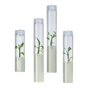 湘玻高硼硅玻璃组培试管耐高温带透气盖组培瓶组织培养管菌种瓶