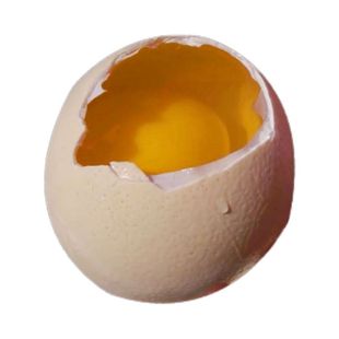 农家散养 新鲜鸵鸟蛋 绿色健康食用斗蛋送礼盒 破损包赔 送货上门