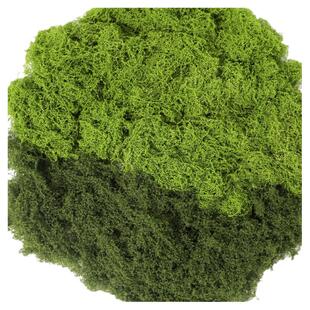 仿真苔藓造景假青苔毛线草皮绿植微景观植物装饰人造仿生草坪铺面