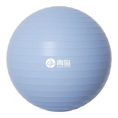 加厚防爆瑜伽球大龙球
