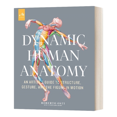 英文原版 精装 Dynamic Human Anatomy 动态人体解剖学 英文版 绘画技巧 艺用解剖 人体动态绘画入门 进口艺术英语原版书籍