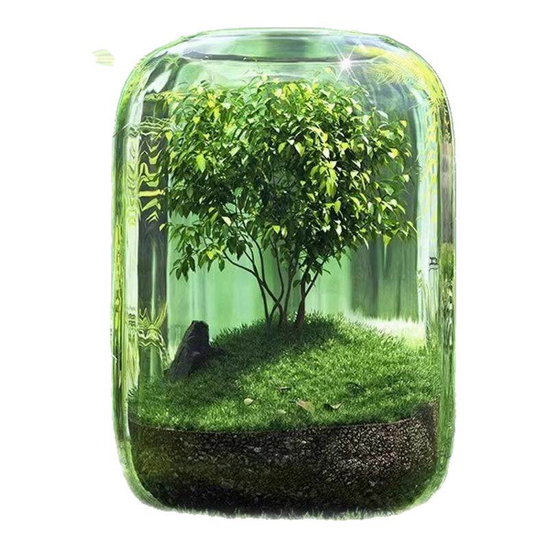 生命之树生态瓶办公室绿植花瓶