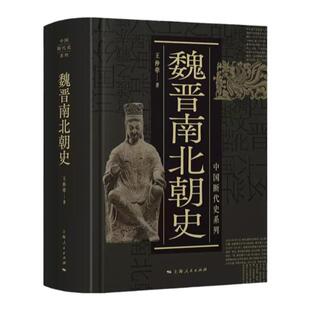 魏晋南北朝史(中国断代史系列)