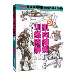 【新版*第6版】肌肉健美训练图解 弗雷德里男性身材肌肉训练型男健美专业人体解剖插图正确运动技巧解说健身肌肉技巧方法说明书籍