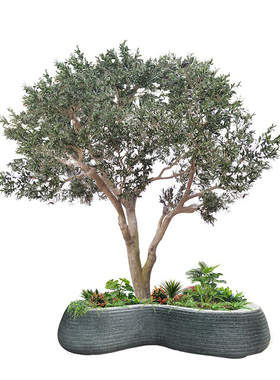 海虹景观仿真绿植布景植物墙