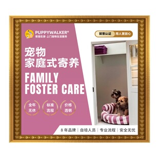 狗狗家庭式寄养不关笼|仅限广州|狗狗分离焦虑适用|春节预约