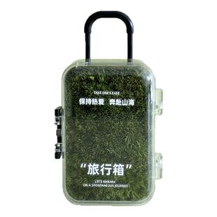 迷你小植物盆栽行李箱苔藓微景观造景办公室桌面绿植摆件玩具礼物