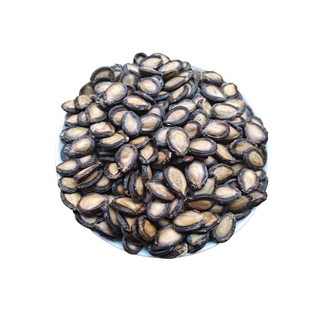 2025年新货甘肃特产生西瓜子中 大板瓜子生大板瓜子生黑瓜子包邮