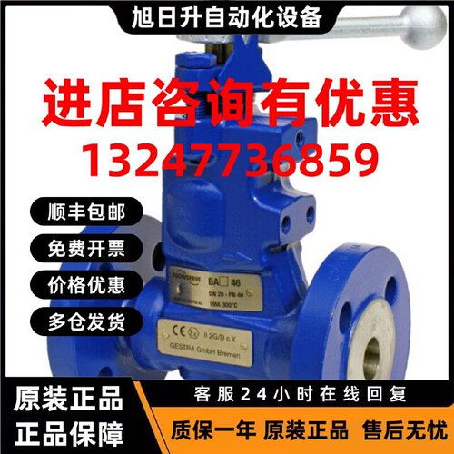 议价德国  GESTRA  止回阀   RK44S, PN16, DN100   保障