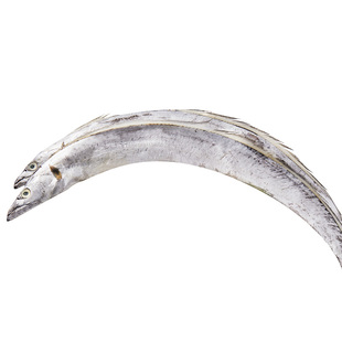 舟山带鱼油带冰鲜雷达网油带东海带鱼鲜活速冻非带鱼段小眼睛带鱼