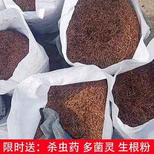 松针土纯腐熟落叶松针腐殖质透气叶种花跨境腐用一件土腐殖土