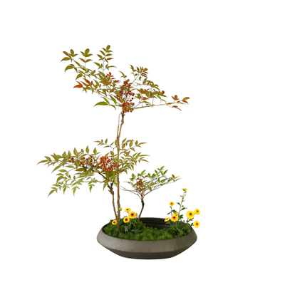 叶蓝老师推荐陶瓷中式写景水盘