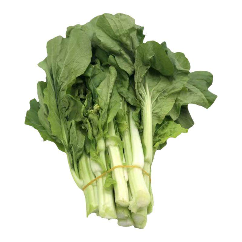 顺丰新鲜白菜苔打霜蔬菜嫩青菜芯