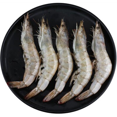 青岛大虾20/30规格顺丰包邮