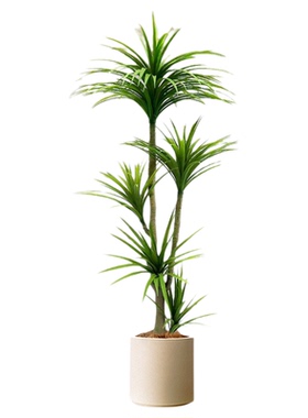 仿真绿植龙血树假植物龙须树室内大型龙铁树客厅装饰盆栽落地摆件