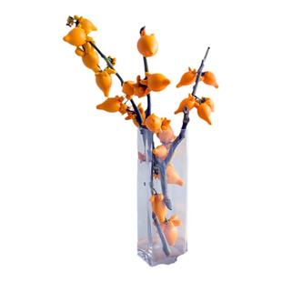 五代同堂黄金果乳茄果鲜切枝客厅观赏绿植水养插花鲜切花云南直发