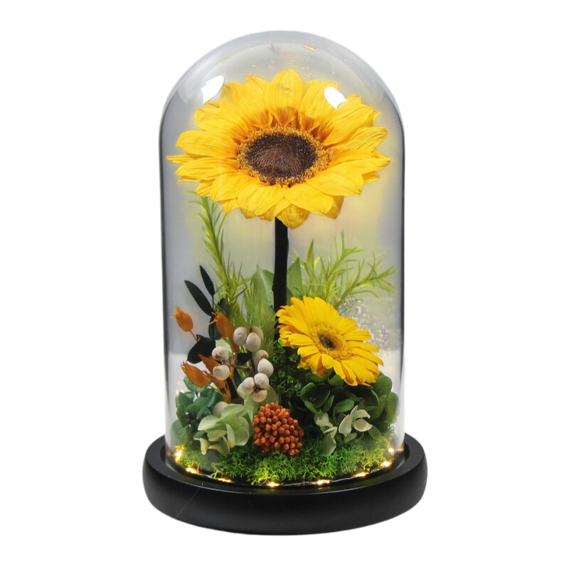 向日葵永生花带灯摆件太阳花干花装饰教师节礼物女生生日毕业礼品