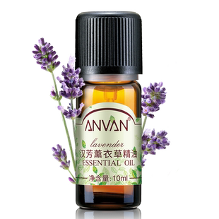 汉芳 薰衣草精油10ml  淡化印痕香薰调理肌肤