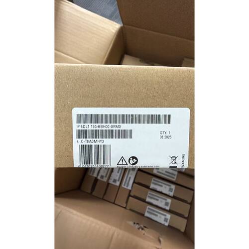 6DL1 193-6BH00-0RM0询价