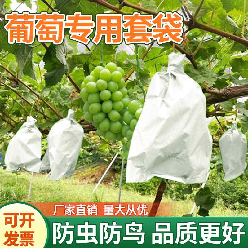 葡萄套袋专用袋防虫防鸟露天阳光玫瑰纸袋水果双层保护袋重复使用
