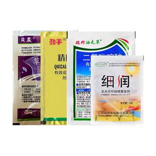 黄芩除草剂精奎禾灵二氯吡啶酸皇秦琴苗后专用灭草药杀草禾阔双除