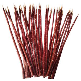 新疆红柳烤肉签子红柳枝签子红柳木签字羊肉串签红柳木签红柳签子