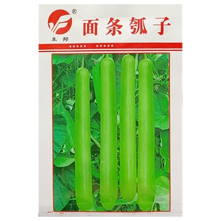 面条瓠子种子50-60厘米中长条蒲瓜瓠瓜夜开花种籽露地保护地5克/