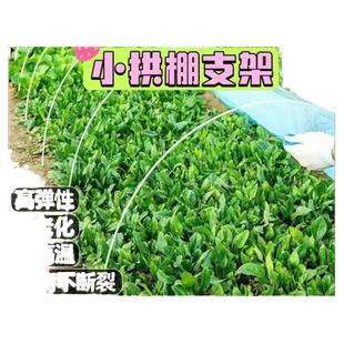 大棚支架玻璃纤维杆地膜拱棚玻璃钢支撑杆拱形架子保温防冻温室棚