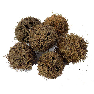 【经方集】路路通中药材枫香果枫球子去毛刺250g/500克