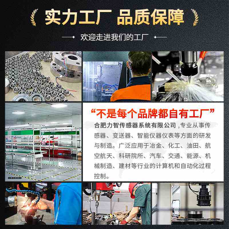 LZ-WS1高精度S型微型拉称重拉力荷重传感器压力测试仪插拔推拉