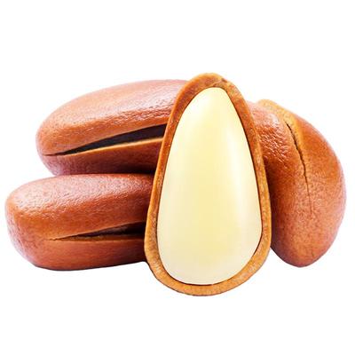 正宗东北松子官方旗舰店新货大颗