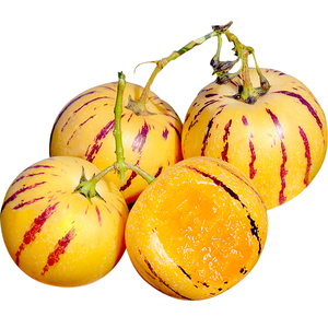 云南人参果水果10斤 大果石林人叁果树上熟人生圆果黄肉新鲜南芒