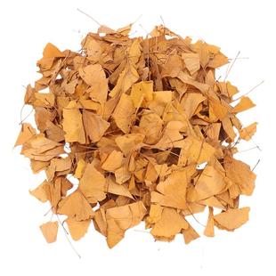 银杏树叶落叶枫叶干花标本真枯叶装饰秋收落叶贴画干树叶手工叶子