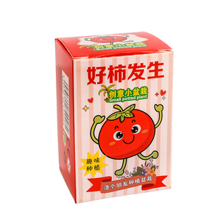 小学生奖励礼品DIY植物种植盲盒儿童实用奖品幼儿园全班分享礼物