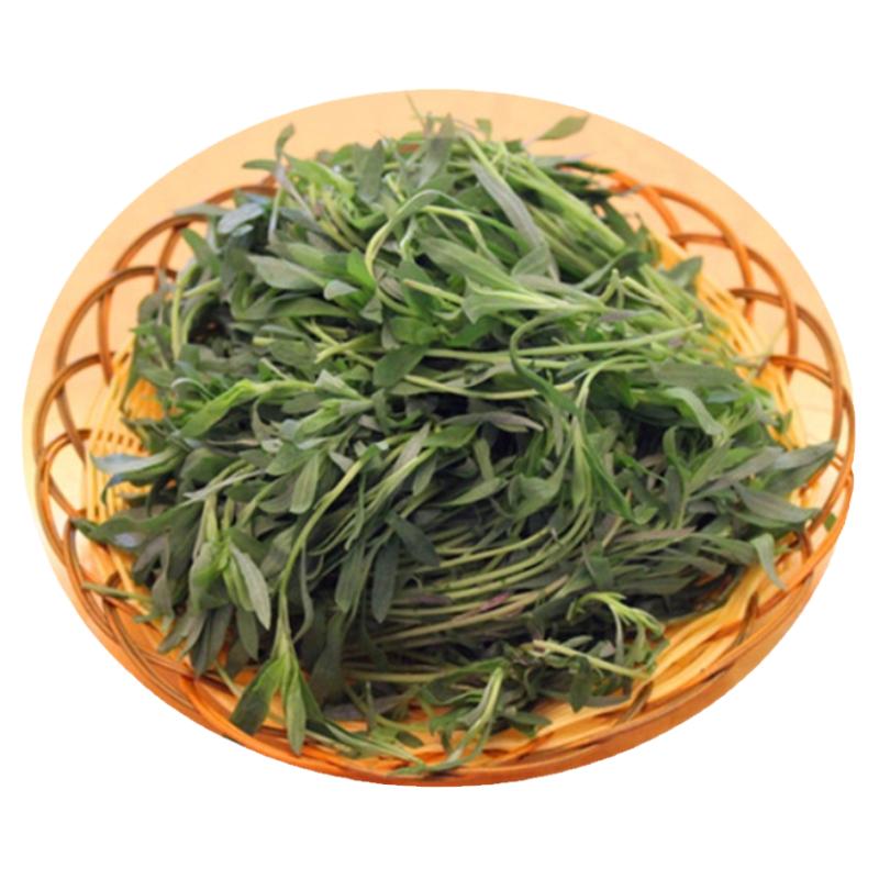 2026年野生美味蒸菜扫帚苗菜河南新鲜农家菜凉拌家常野菜现货包邮