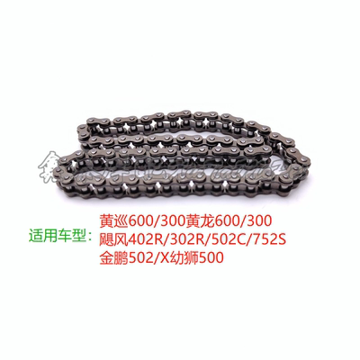 加强型DID机油泵链条钱江