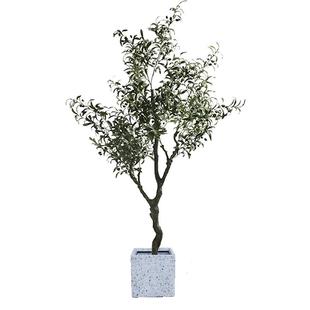 森空间仿真绿植装饰油橄榄树假树北欧风室内大型落地盆栽仿生植物