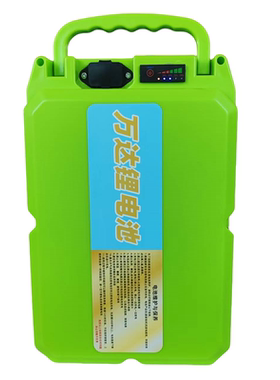 锂电池60v48V24V通用背负式电瓶