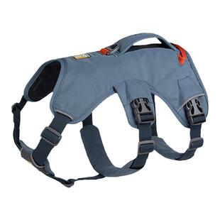 RW拉夫威尔牵引绳2023汪大师美国新款狗狗户外防挣脱可提宠物胸背